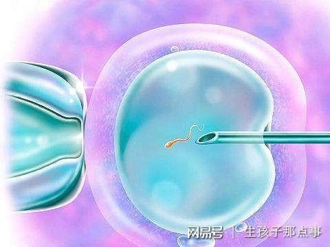 刚测出来怀孕