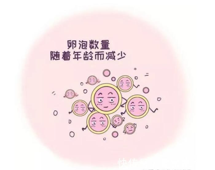 怀孕初期