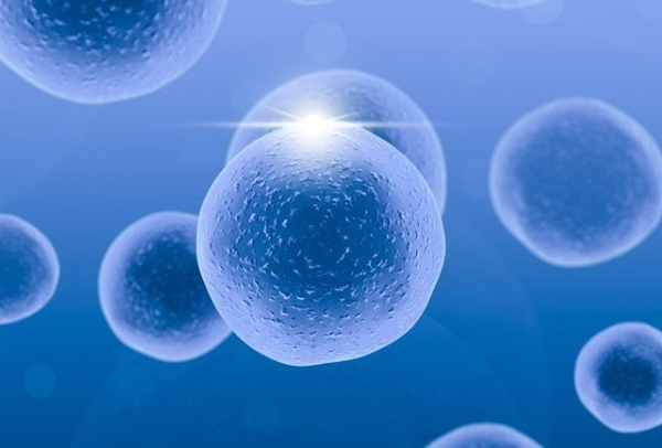 刚刚怀孕