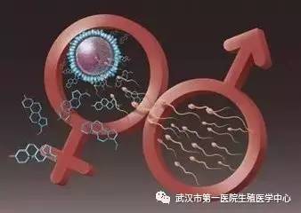 孕早期