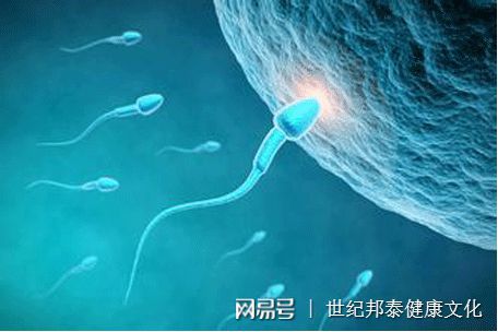怀孕初期