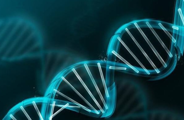 初孕检查