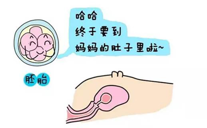 先兆性流产
