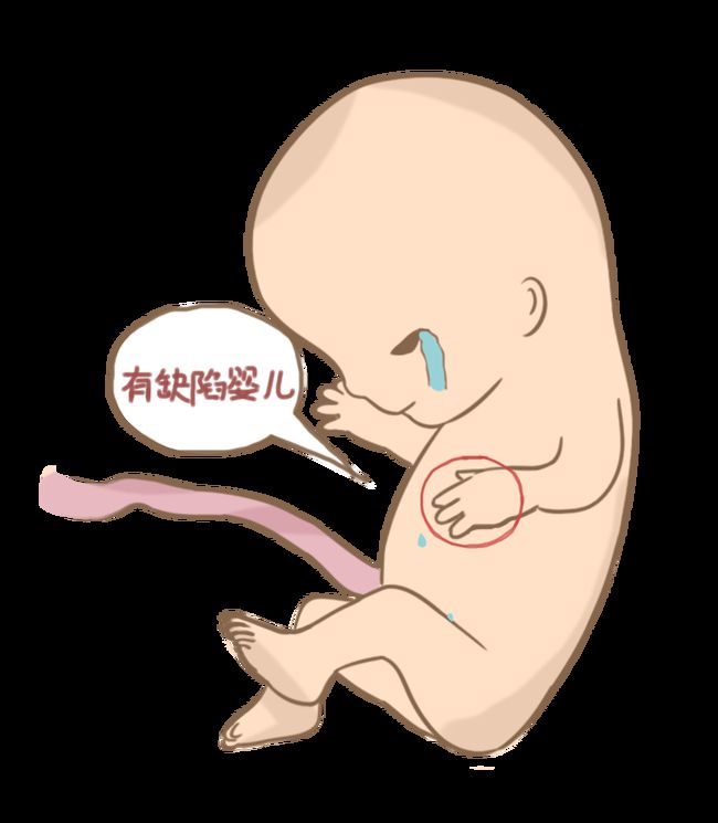 怀孕初期