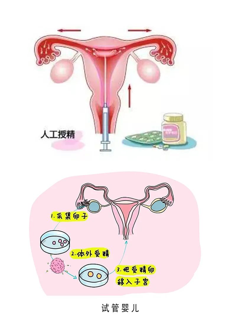 初中家长教育心得体会