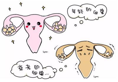 刚怀孕几天验孕棒能测出来吗