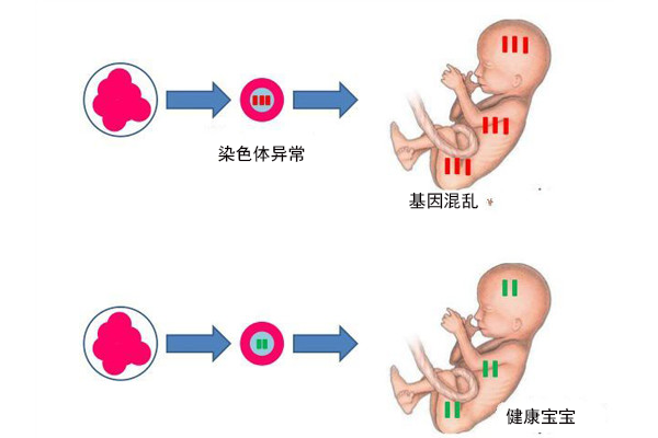 怀孕
