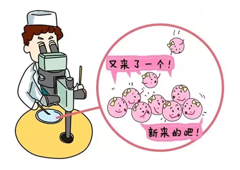 怀孕初期