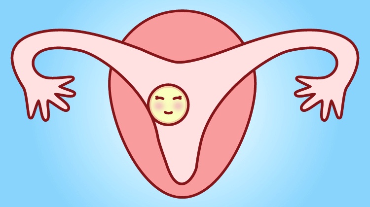 婴儿