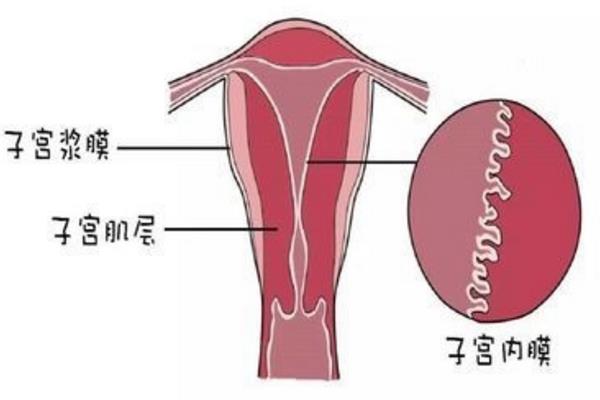 先兆性流产