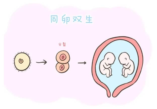 刚怀孕10天的征兆