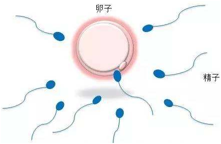 劳务派遣