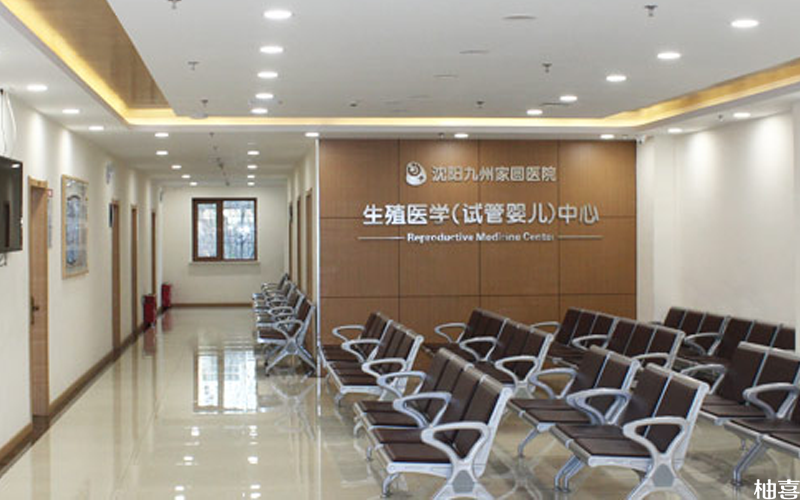 剖宫产终止妊娠