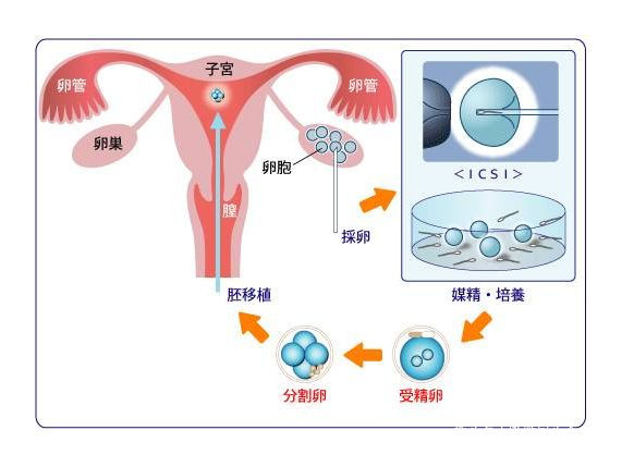 北京大产权房子