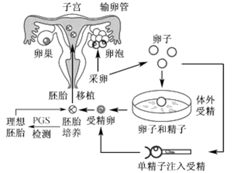 劳动法
