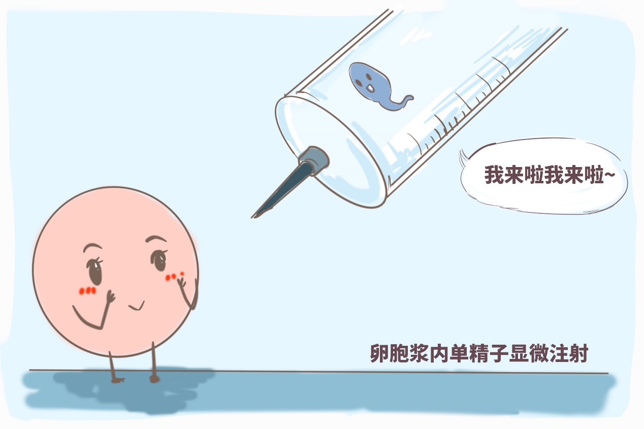 北京药流费用
