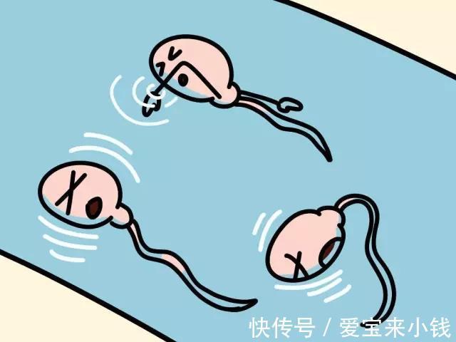 劳动教育