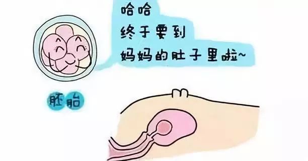 试管婴儿费用
