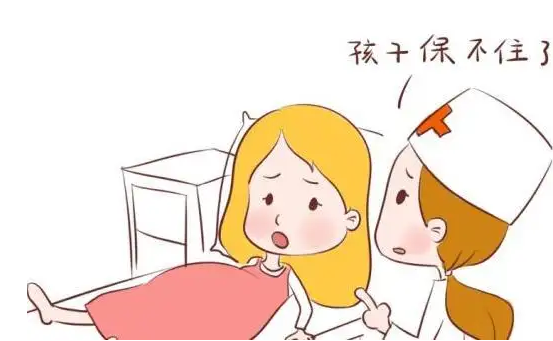 宝宝头小腿长