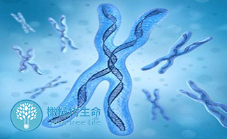 北京育儿嫂