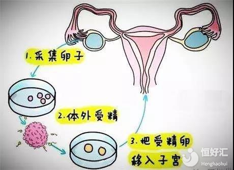 劳动法