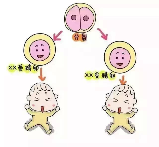 地下机构