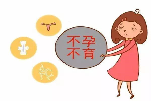 国内捐卵公司