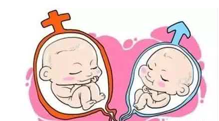 供卵试管婴儿